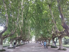 android_upload_pic-扬州大学(扬子津校区)