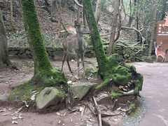-昆明青龙峡风景区