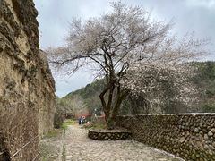 -云水谣景区