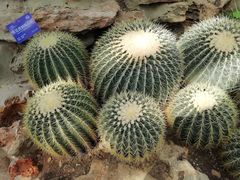 -国家植物园南园