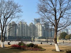 -王家墩东(地铁站)