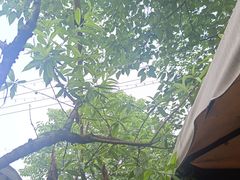 -玫瑰庄园·自助烧烤·烤全羊·团建拓展(龙泉山店)
