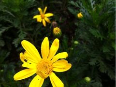 iphone_upload_pic-汇龙潭