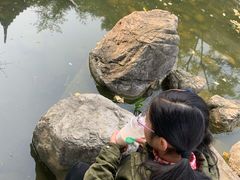 -芒青柠·鲜果甜品茶(双中店)