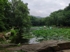 -棒棰岛宾馆景区