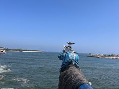 -大连老虎滩海洋公园