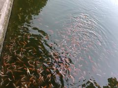 -河北村民俗体验园