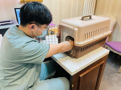 -宠爱国际动物医院·消化内科·心肾内科·ISFM猫友好(望京店)