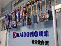 -嗨动跆拳道体能馆(菜百店)