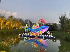 -洋湖国家湿地公园