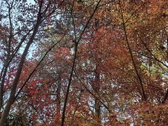 -云龙山