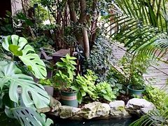 -谷咖啡·鲜花绿植花园餐厅
