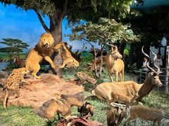 -国家自然博物馆