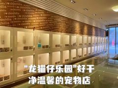 -龙猫仔乐园(惠福东路店)