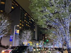 -六本木新城展望台(东京城市景观)