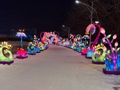 -沈阳奥体冰雪嘉年华