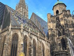 -斯蒂芬主教座堂(Stephansdom)