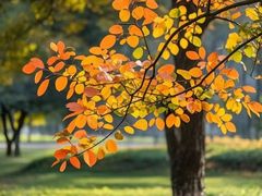 -青州市云门山风景区