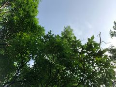 -富斯特索道