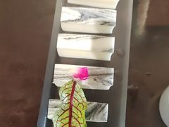 -食悦江南·淮扬菜·烤鸭(亚运村·惠新店)