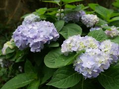 -华南国家植物园-售票处