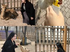 -水上乐园·欢乐世界