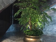 -北京康莱德酒店
