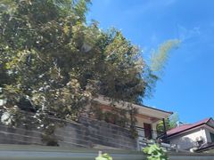 -将军关探险漂流