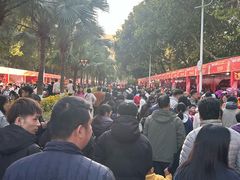 -风云岭森林公园