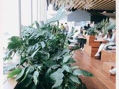 -Seesaw Coffee(朝阳大悦城店)