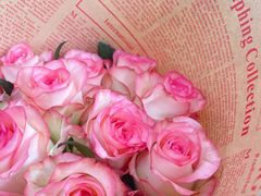 -双季花艺园艺市场(浦东店)