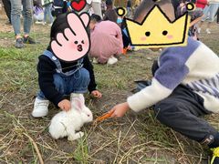 -东南花都花博园