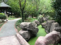 -东湖落雁景区