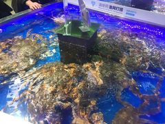 -盒马鲜生(莱蒙都会店)