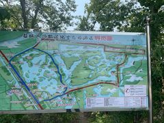 -盐城丹顶鹤湿地生态旅游区