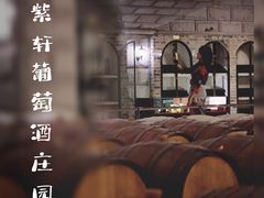 -紫轩葡萄酒庄园