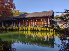 -杭州植物园