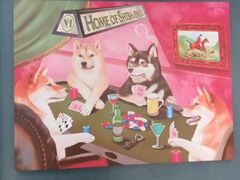 -柴犬高等学院·狗咖·柴犬售卖·宠物训练