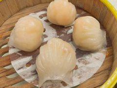 笋尖虾饺皇-美景家宴