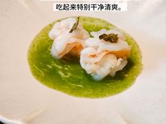 -觀芷隐轩