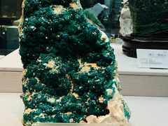 -湖南省地质博物馆