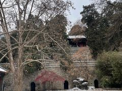 -香山公园