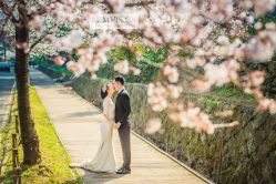 点击看大图 -盛夏光年studio·美学·电影感·定制