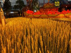 -厦门方特梦幻王国