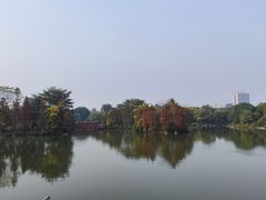 -海珠湖公园