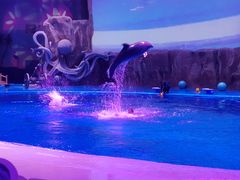 -华夏文旅海洋公园