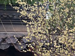 -钱王祠