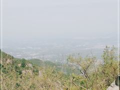 -阳台山自然风景区