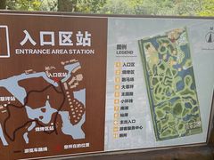 -上海滨江森林公园