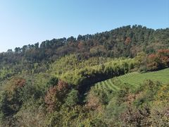 -敬亭山风景名胜区